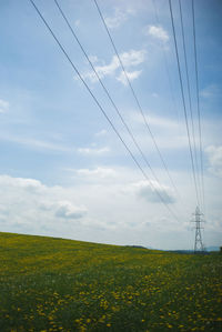 Scenic view of field against clear sky