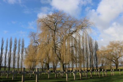 Cross at cemetery against sky