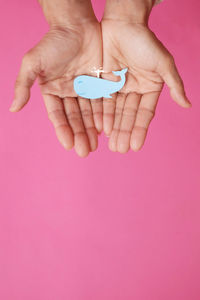Close-up of woman hand holding pink over colored background