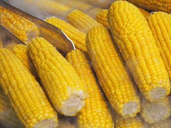 High angle view of corns for sale at market stall