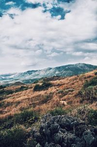 Scenic view of landscape against sky