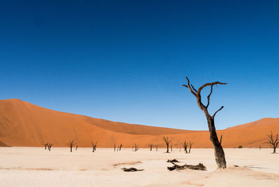 Scenic view of desert against clear blue sky