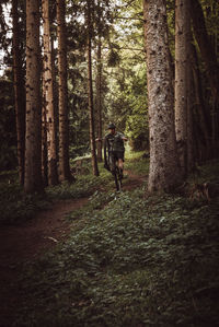 Rear view of person walking on footpath amidst trees in forest