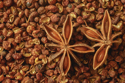 Star anise resting on sichuan pepper