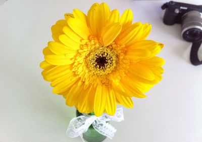 Close-up of yellow flower