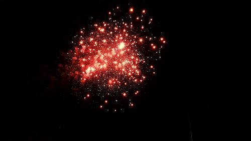 Low angle view of firework display at night