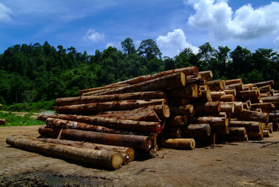 Stack of logs in forest against sky