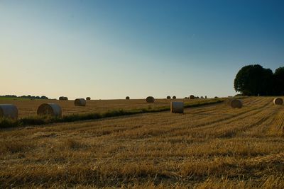 Hay bales on field against sky