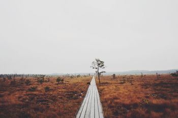 Walkway amidst field against clear sky