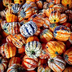 Full frame shot of pumpkins at market