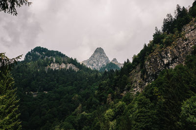 Panoramic view of trees and mountains against sky