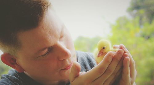 Close-up of man holding duckling