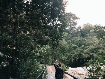 Rear view of man walking by trees in forest