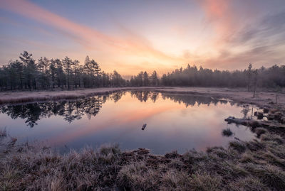 Scenic view of lake against sky during sunset in wetland