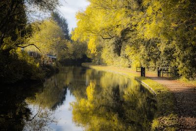 Scenic view of lake by trees during autumn