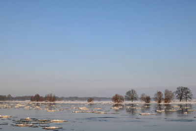 Scenic view of lake against clear sky during winter