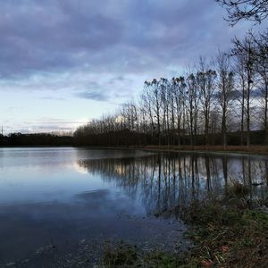 Scenic view of lake in forest against sky