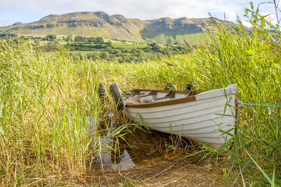 Scenic view of land