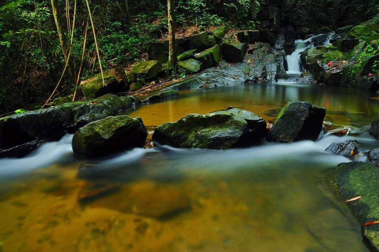 water, flowing, flowing water, beauty in nature, rock - object, stream, reflection, scenics, tranquility, nature, tranquil scene, tree, river, forest, waterfall, waterfront, green color, idyllic, lake, pond