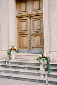 Potted plant on steps against wooden door