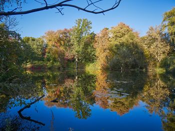 Reflection of trees in water against sky