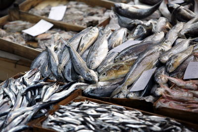 High angle view of fishes in crates for sale at market