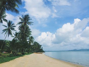 Palm trees on beach against cloudy sky