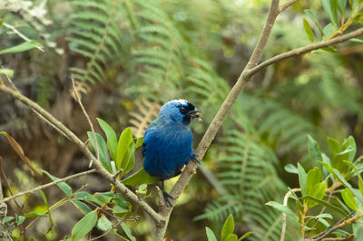 Bird perching on branch