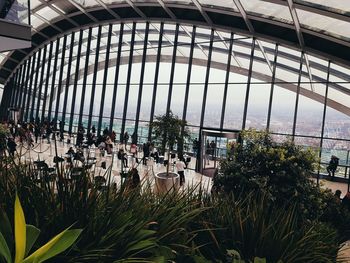 Plants seen through window