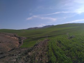 Scenic view of landscape against sky