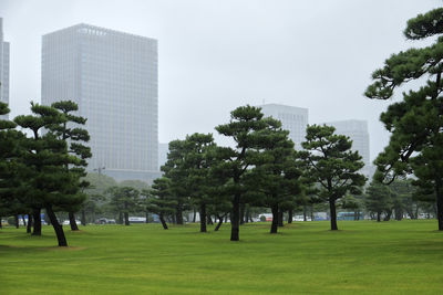 Trees in park against buildings in city against sky