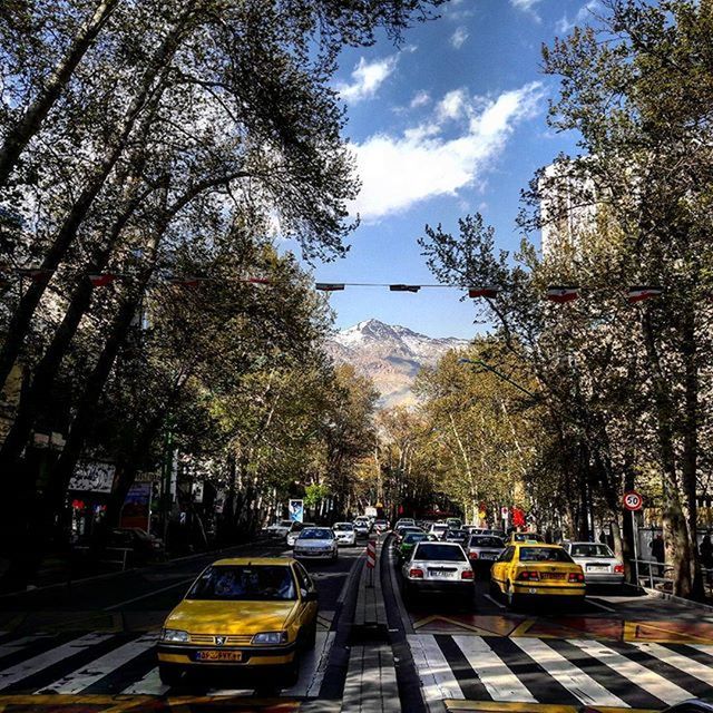 transportation, tree, car, mode of transport, land vehicle, street, road, sky, city, on the move, the way forward, traffic, travel, incidental people, parking, growth, branch, treelined, road marking, stationary