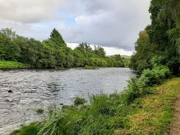 Scenic view of river amidst trees against sky