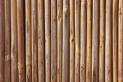 Full frame shot of wooden wall