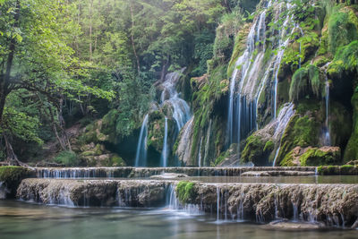 Scenic view of waterfall in forest