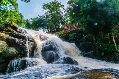 Scenic view of waterfall in forest