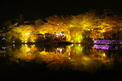 Illuminated city by trees at night
