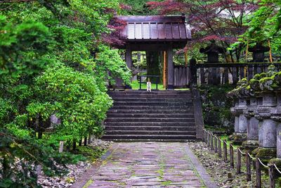 Staircase leading towards building