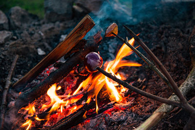 Close-up of fire on log