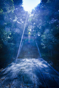 Footpath amidst trees in forest against bright sun