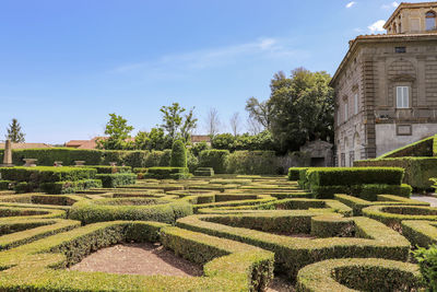 Trees and plants in garden against sky