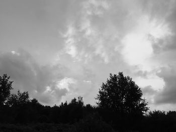 Low angle view of silhouette trees against sky