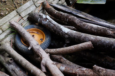 High angle view of wood
