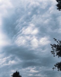 Low angle view of tree against cloudy sky