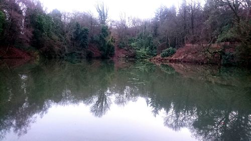 Scenic view of lake against trees in forest