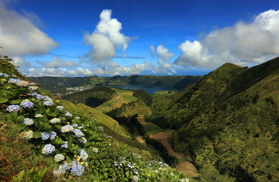 Scenic view of landscape against sky