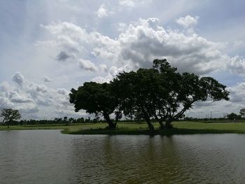 Trees by lake against sky