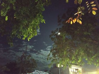 Low angle view of building and trees against sky