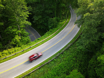 Road passing through forest