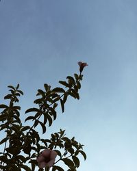 Low angle view of bird on branch against sky